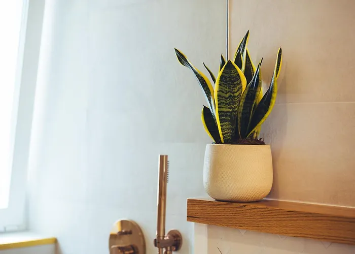 Casa Boga Πουέρτο Ντελ Κάρμεν