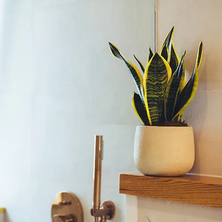 Casa Boga Puerto del Carmen (Lanzarote)